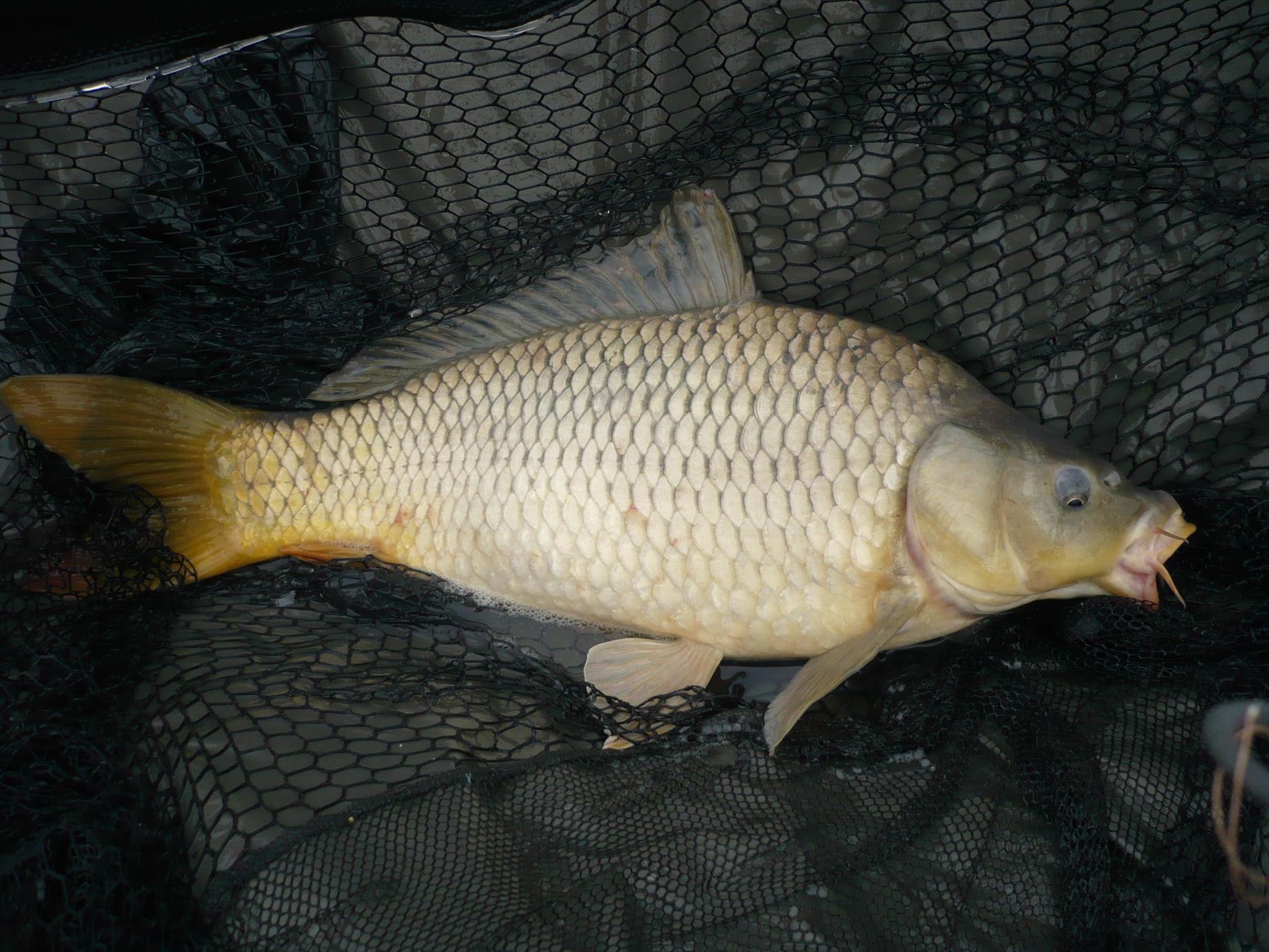 MV2 - 24.OCT.2013 - p1010825.JPG